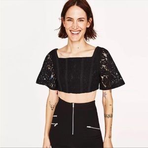 NWT Zara Cropped Lace Flutter Sleeve Square Neck Top Size Medium Gothic